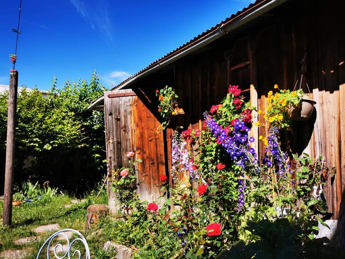 Gite D'Etape Auberge De L'Ardoisiere 조시에르 외부 사진